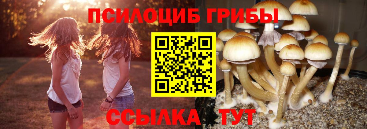 Галлюциногенные грибы мицелий Невинномысск