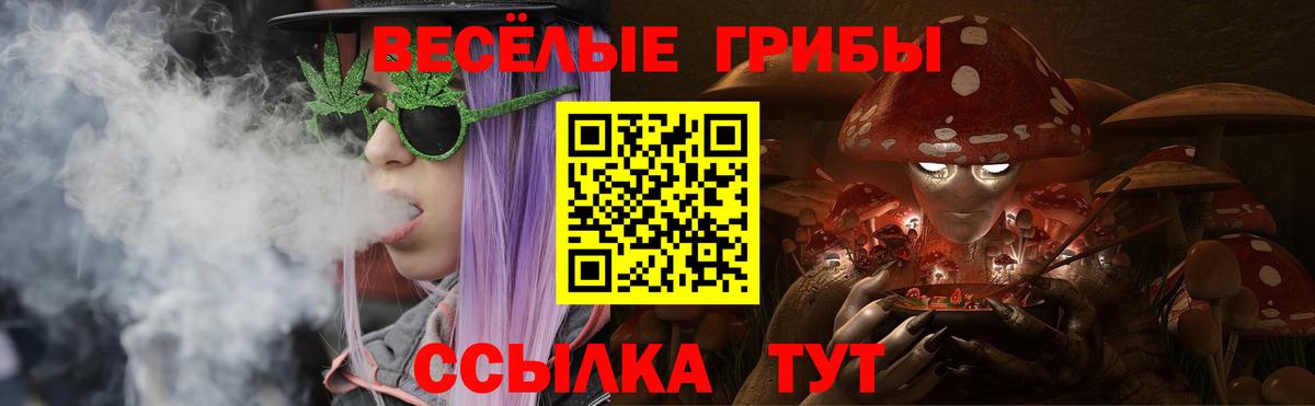 Галлюциногенные грибы Psilocybine cubensis  Вход с VPN  Псилоцибиновые грибы Psilocybine cubensis  Невинномысск 